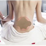 Lumbar Patch Supplier - Wormwood Lumbar Sticker Lumbar Pain Relief Patches for Back Pain