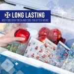 Gel Ice Packs Supplier - Best Selling Wholesale Custom Gel Ice Packs Ice Brick Cooler