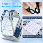 Backpack Cooler Supplier - Custom PCM Ice Pack Reusable Backpack Cooler Pad Cooling