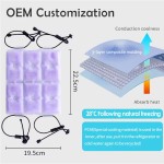 Backpack Cooler Supplier - Custom PCM Ice Pack Reusable Backpack Cooler Pad Cooling