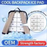 Backpack Cooler Supplier - Custom PCM Ice Pack Reusable Backpack Cooler Pad Cooling