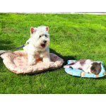 Dog Cooling Mat Supplier - OEM Self Cooling Pet Pad Summer Mat