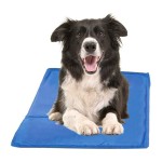 Dog Bed Supplier - Waterproof Ice Mattress Pet Cooling Mat