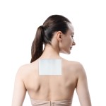 Pain Relieving Patch Factory - Capsicum Disposable Heat Cooling Gel