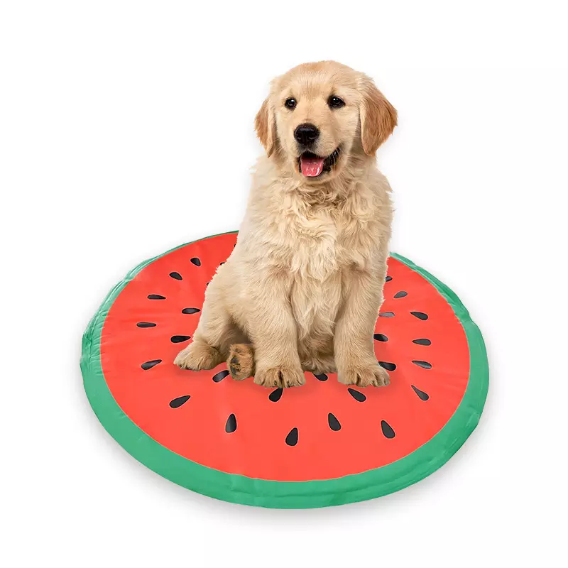 Cooling Pad Supplier - Gel Ice Pack Indoor Outdoor Pet Mat