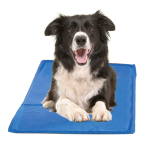 Cooling Pad Supplier - Gel Ice Pack Indoor Outdoor Pet Mat