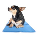 Dog Cooling Mat Factory - Customized Size Waterproof Pet Mat