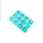 Dry Ice Pack Supplier - Food Grade Dry Ice Packs Cooler Bag Ice Boxes Reusable Shipping