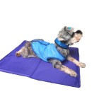 Pet Cooling Mat Supplier - Factory Supply Pet Cat Pad Cooling Mat for Dog OEM ODM