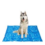 Dog Cooling Bed Manufacturer - Dog Cooling Mat Cool Dog Bed Ice Water Pad Summer Hot