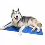 Pet Cooling Mat Supplier - Factory Supply Pet Cat Pad Cooling Mat for Dog OEM ODM