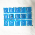 Dry Ice Pack Supplier - Food Grade Dry Ice Packs Cooler Bag Ice Boxes Reusable Shipping