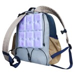 Shoulder Ice Pad Supplier - Summer Hot PCM Cooling Ice Pad Shoulder Bag Cold Back Gel