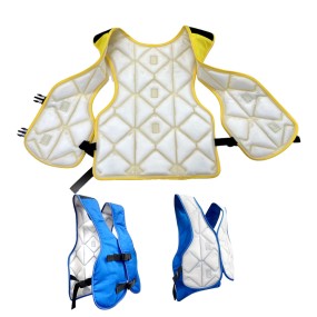 Non-Toxic Cooling Vest Factory - Bingfan Non-Toxic Cooling Vest Top-Rated Best Popular
