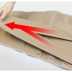 Waist Belt Manufacturer - Best-Selling Elastic Back Waist Lumbar Support Belt for Back Pain