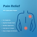 Pain Relief Patch Supplier - Maximum Strength Numbing Neck Knee