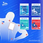 Pain Relieving Patch Factory - Maximum Strength Medicated Relief