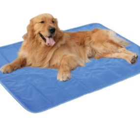 Pet Cooling Mat Supplier - Pressure Activated No Water