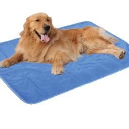 Cool Gel Pad Supplier - Instant Cool Relief Energy Saving