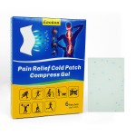 Herbal Gel Plaster Supplier - OEM/ODM Transdermal Pain Relief Patch