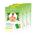 Moxa Pain Relief Patch Supplier - OEM/ODM High Quality Adhesive Heat Patch