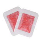 Korea Detox Foot Patch Factory - OEM/ODM Hot Selling MSDS ISO Certified