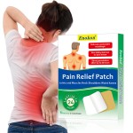 Back Pain Relief Patch Manufacturer - OEM/ODM Herbs Relieving Plaster