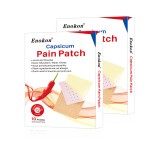 Ginger Capsaicin Pain Relief Patch Supplier - OEM Custom Hot Plaster
