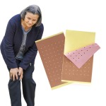 Custom Pain Patch Manufacturer - OEM/ODM Capsicum Plaster for Sports