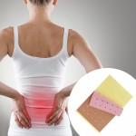 Capsicum Plaster Supplier - Direct Factory Price Health Care Patch