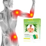 Moxa Pain Relief Patch Supplier - OEM/ODM High Quality Adhesive Heat Patch