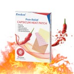 Porous Capsicum Plaster Factory - Sanitayaki Quality Pain Relief
