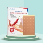Rheumatic Plaster Manufacturer - 6pcs Box Herbal Pain Relief Patch