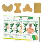 Warming Pain Relief Patch Factory - OEM/ODM Herbal Knee Back Patch