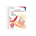 Transdermal Pain Patch Supplier - OEM/ODM Fast Effect Heat Plaster