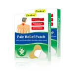 Back Pain Relief Patch Manufacturer - OEM/ODM Herbs Relieving Plaster