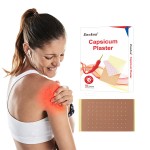 Capsicum Plaster Supplier - Direct Factory Price Health Care Patch