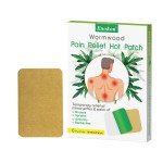 Warming Pain Relief Patch Factory - OEM/ODM Herbal Knee Back Patch