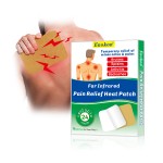 Transdermal Pain Patch Supplier - OEM/ODM Menthol Joint Pain Relief