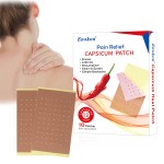 Ginger Capsaicin Pain Relief Patch Supplier - OEM Custom Hot Plaster