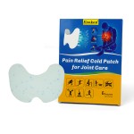 Herbal Gel Plaster Supplier - OEM/ODM Transdermal Pain Relief Patch