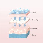 Medical Gel Patches Supplier - Bulk Wholesale Pain Relief Plaster