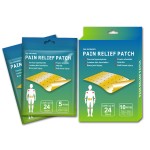 Lumbar Care Patch Factory - OEM CE Certified Back Pain Relief