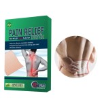 Back Pain Plaster Manufacturer - OEM Customizable Chinese Formula