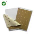 Muscle Pain Plaster Supplier - OEM China Supplier Component