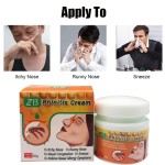 Nose Ointment Supplier - ZB 20g Allergic Rhinitis Sinusitis Cream