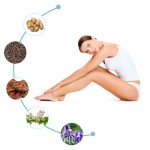 Vein Care Ointment Supplier - Spider Vein Swell Pain Relief Cream