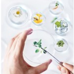 Propolis Oral Spray Supplier - Natural Formula Ulcer Pharyngitis Care