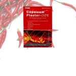 Pain Patch Factory - 8Pcs Capsicum Plaster Muscle Strain Self-Heat