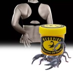 Scorpion Venom Balm Supplier - 30g Pain Rheumatism Sciatica Care